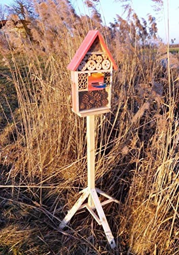Große Insektenhotels rot lasiert Vogelhäuschen Nistkasten INSEKTENHOTEL MIT STÄNDER UND TRÄNKE SD und Futterplatz, Futterstelle, aus Holz als Ergänzung zum Meisen Nistkasten Meisenkasten oder zum Vogelhaus Vogelfutterhaus Futterstation für Vögel Insektenhäuschen - Insektenhotels, insektenhotel für ökologische biologische natürliche Blattlausbekämpfung, Marienkäferhaus-Marienkäfer-Marienkäferkasten-Schmetterlingshaus-Schmetterlinge,Gartendeko