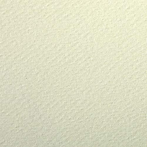 Clairefontaine 93892C Packung (mit 25 Bögen Zeichenpapier Etival Color, DIN A4, 21 x 29,7 cm, 160g, gekörnt, ideal für Trockentechnik und Einrahmen) hellgrün