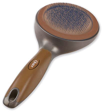 Oster Zupfbürste - Groß Premium, Unisex