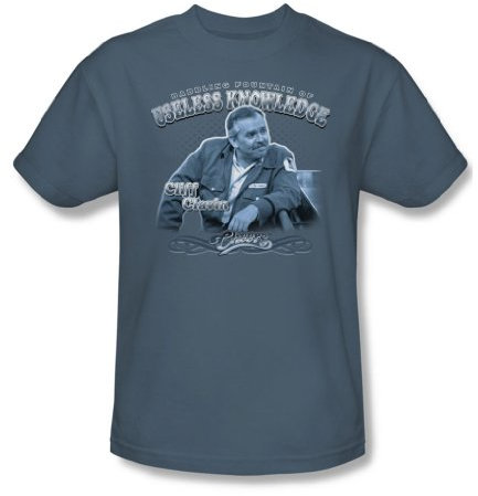 Cbs - Fountain Of Knowledge Adult T-Shirt In Slate, Medium, Slate