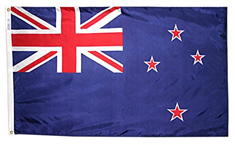 Annin Flagmakers 196161 Internationale Flagge, 90 x 150 cm, Nicht zutreffend