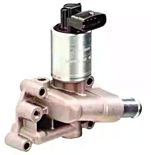 Delphi EG10289-12B1 Egr Valve