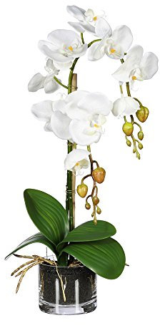 Iovivo Kunstpflanze, künstliche Orchidee weiß, im Glastopf, Höhe 52 cm