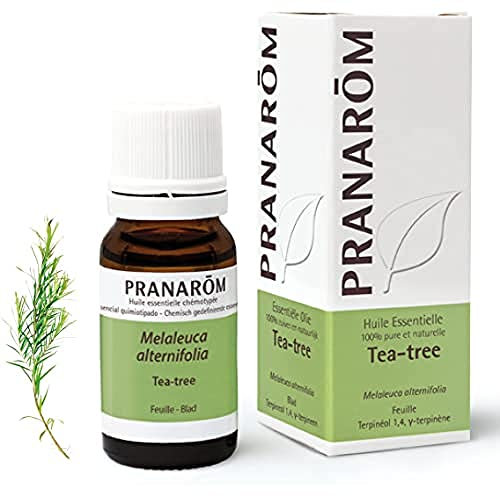 PRANAROM - Árbol del Té - Aceite Esencial Quimiotipado - Defensas Naturales - 100% Puro e Integral - HECT - 10ml