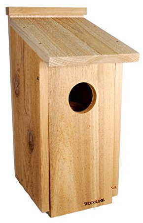 Woodlink OWL/Kestrel Screech House, 20H