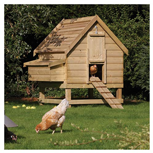 Rowlinson Chicken Coop