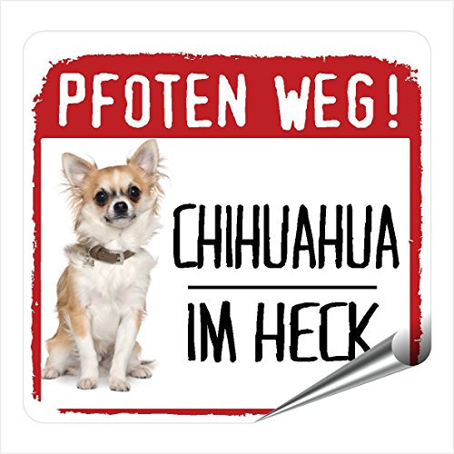 Siviwonder Autoaufkleber Chihuahua im Heck reflektierende Reflexfolie Hinweis Hund im Auto 9x8 cm fuer Heckscheibe Heckklappe Stossstange nachts sichtbar Hundeaufkleber für Pkw Kombi SUV Wohnmobil Van