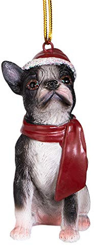 Design Toscano Boston Terrier festlicher Hund Weihnachtsbaumornament Weihnachtsdeko, Polyresin, vollfarbe, 8 cm