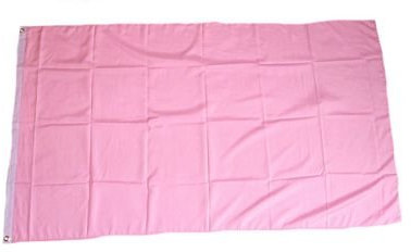 Fahne/Flagge Einfarbig Rosa/Pink NEU 90 x 150 cm