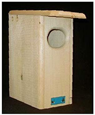 Coveside Kleine Holz Ente Haus