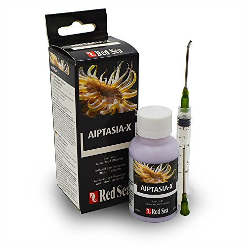 Red Sea Aiptasia-X Glasrosenbekämpfung, Riff-sicher, 60ml Kit