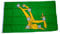 Fahne/Flagge Starry Plough grün 90 x 150 cm