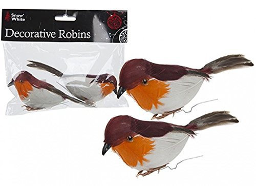 PMS DECORATIVE ROBINS/PACK OF 2 IN POLYBAG & HEADER CARD.
