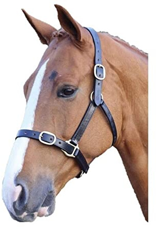 Shires Blenheim Fully Adjustable Leather Headcollar-Black Cob