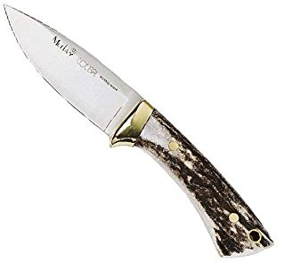Muela M.COL7A