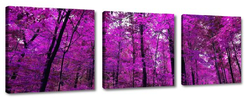 Visario Leinwandbilder 4210 Bilder auf Leinwand Bild 150 x 50 cm Lila Wald drei Teile