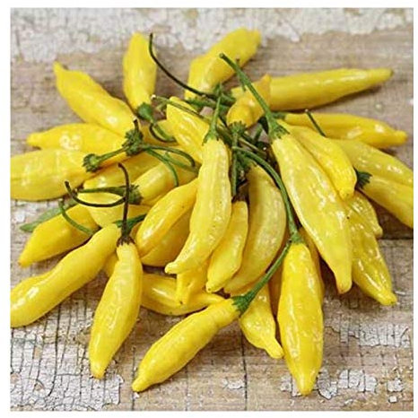 PREMIER SEEDS DIRECT - HOT Chilli Pepper - Lemon Drop - 20 Finest Seeds