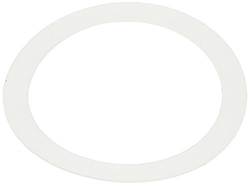 Pentair 195004 Filtre de Rechange en polyéthylène pour laveuse FNS pour Piscine et Spa