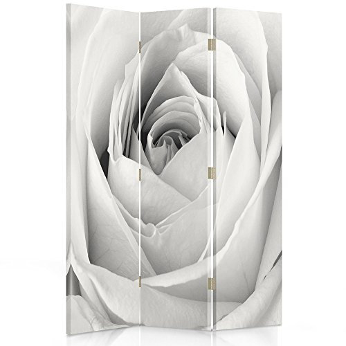 Feeby Paravent Weiße Rose 3 Teilig 110x150 cm Modern Design Einseitig Raumteiler Wandschirme Foto Trennwand Raumtrenner Sichtschutz Spanische Wand auf Leinwand Bedruckt
