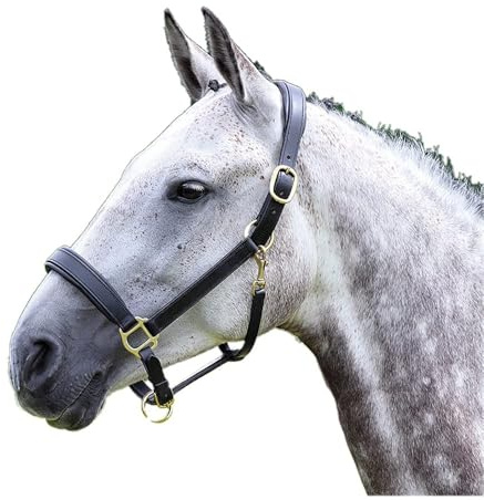 Shires Velociti GARA Blenheim Padded Leather Halter - Brass Black/Full