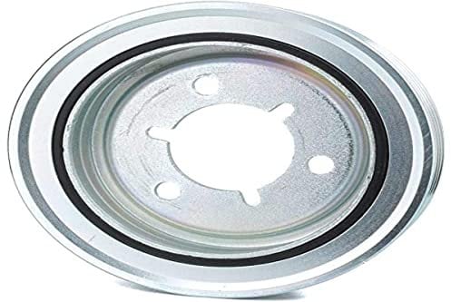 DAYCO DPV1029 SMORZATORE Peugeot 206 16S 307