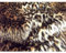Animal Fun Kunstpelz Stoff Material - Baby Leopard - Baby Leopard, 1Mtr - 150cm x 100cm