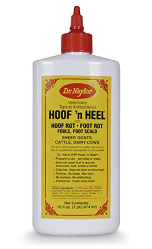 Dr. Naylor Hoof n' Heel (16 oz.) - Traditional Foot Rot Treatment