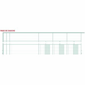 Exacompta Spaltenbuch A4 Karton mit Kopfleiste 8 Spalten 40 Blatt