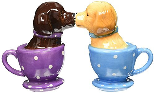 Salt & Pepper Shakers Set - TEA CUP LABS New Ceramic Kitchen Gifts 8583
