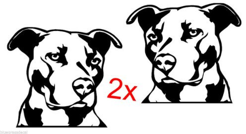 2 Pitbull PIT Bull White Vinyl Decal Stickers for CAR Truck SUV Dog JDM 4x4 MMA LaptopF