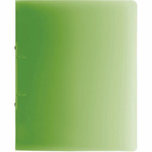Brunnen 10 x Ringbuch Fact! A4 25mm 2 Ringe Kiwi