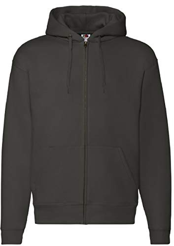 Fruit of the Loom Men's With Hood Sweatshirt (pack of 1)