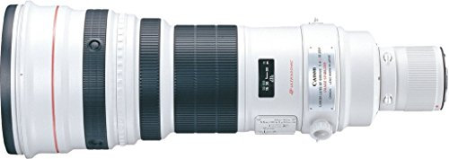 Canon EF 600mm f/4.0 L IS USM Lens
