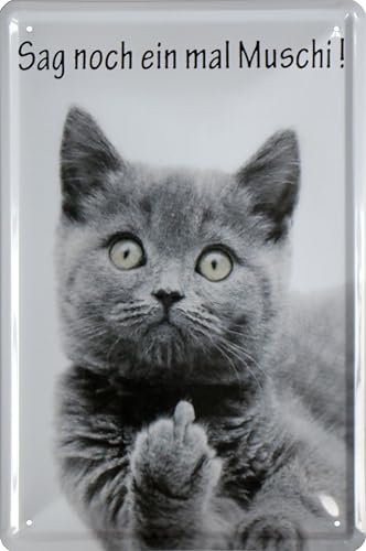 WOGEKA ART Retro Blechschild - Sag noch einmal Muschi Katze - witziger Spruch als Geschenk-Idee zum Geburtstag Weihnachten zur Dekoration 20x30 cm Vintage-Design aus Metall 1010