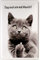 WOGEKA ART Retro Blechschild - Sag noch einmal Muschi Katze - witziger Spruch als Geschenk-Idee zum Geburtstag Weihnachten zur Dekoration 20x30 cm Vintage-Design aus Metall 1010