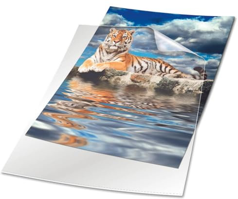 Durable Sichthülle, DIN A4 hoch, Hartfolie 150 µ, transparent, Karton à 50 Stück, 233919