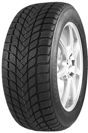 Mastersteel Winter + IS-W - 205/60R16 96H - Winterreifen
