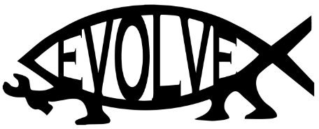 INDIGOS UG Auto Aufkleber Evolve Fish Darwin Bumper Sticker 127mmX63mm 127mmX63mm