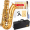 Glory E Flach Alto Saxophon mit 11reeds gold