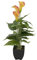 EUROPALMS Calla mini, Kunstpflanze, gelb orange, 43cm | Zimmerpflanze im Blumentopf