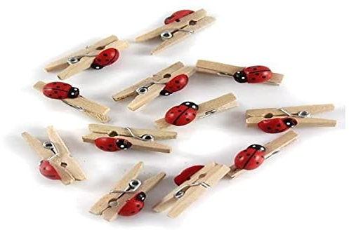 GLOREX Mini Pinces à Linge en Bois Multicolore 11 x 5,6 x 1 cm 12 unités
