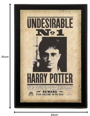Last level - Harry Potter Undesirable Nr. 1 Bild, 22 x 31 x 1,7 cm, Zubehör, Mehrfarbig (NOB0023)