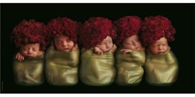 Schmidt Spiele 58912- Anne Geddes, 750 Teile Puzzle