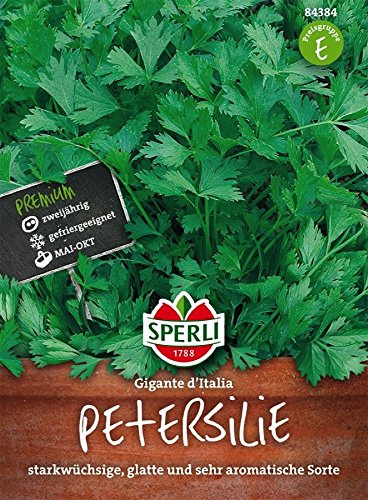 Petersilie, Gigante d'Italia