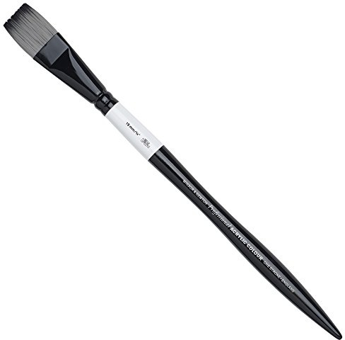 Winsor & Newton 5086119 Brush – Clear x 20 x 2 cm