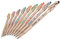 Paper Mate Replay Cancellabile Viola