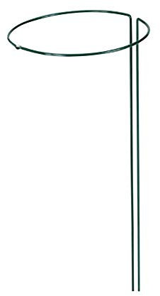 XCLOU GARDEN Pflanzenstützen, Staudenring, grün, 70 cm