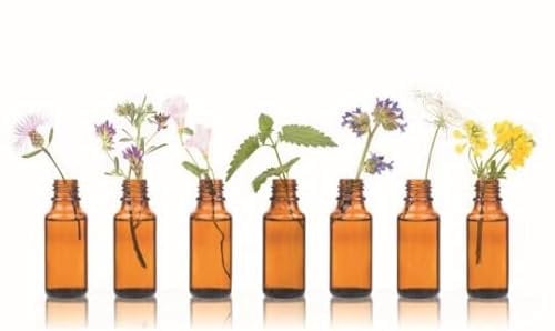 Thuja, 10ml von Dragonspice Naturwaren, 10ml
