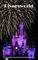 Disneyworld: A Family Vacation to Remember (English Edition)