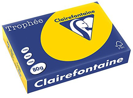 Clairefontaine 1780C - Ries Druckerpapier / Kopierpapier Trophee, intensive Farben, DIN A4, 80g, 500 Blatt, Goldgelb, 1 Ries